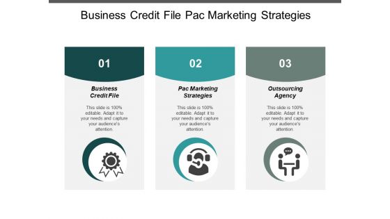 Business Credit File Pac Marketing Strategies Outsourcing Agency Ppt PowerPoint Presentation Infographic Template Elements
