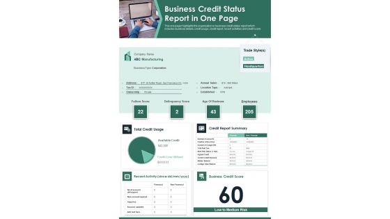 Business Credit Status Report In One Page PDF Document PPT Template Business Credit Status Report In One Page PDF Document PPT Template