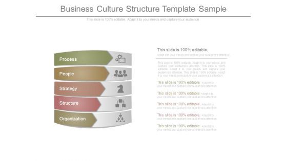 Business Culture Structure Template Sample