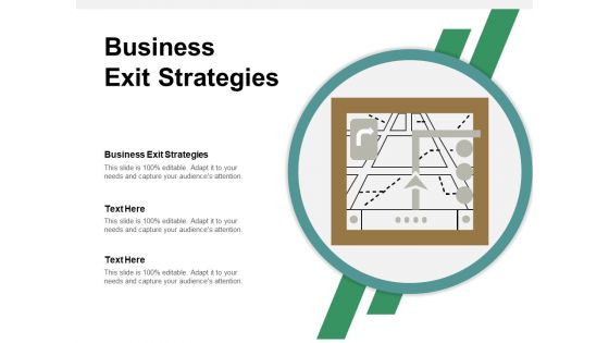 Business Exit Strategies Ppt PowerPoint Presentation Show Example Cpb