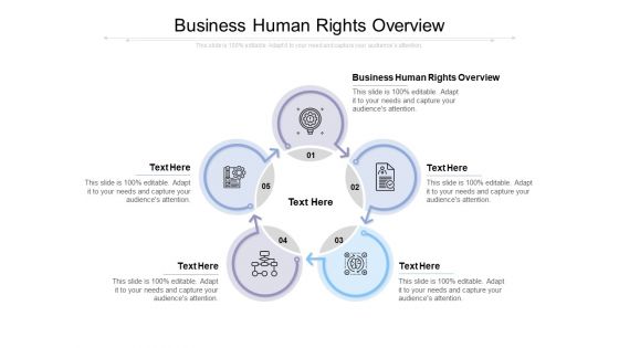 Business Human Rights Overview Ppt PowerPoint Presentation Pictures Information Cpb