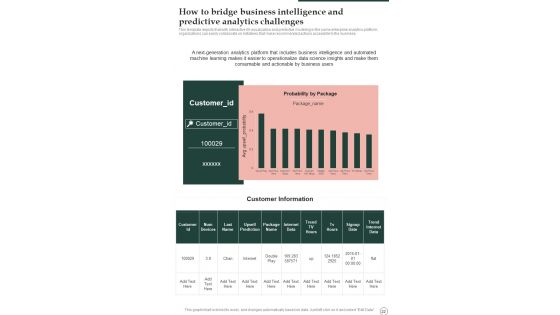 Business Intelligence Playbook Template