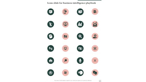Business Intelligence Playbook Template