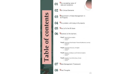 Business Intelligence Playbook Template