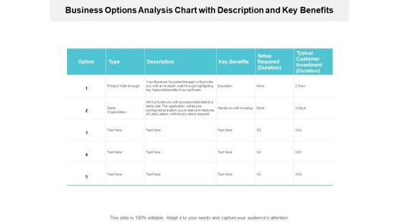 Business Options Analysis Chart With Description And Key Benefits Ppt PowerPoint Presentation Outline Elements