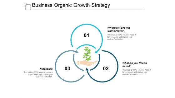 Business Organic Growth Strategy Ppt Powerpoint Presentation Portfolio Gallery