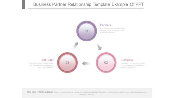Business Partner Relationship Template Example Of Ppt