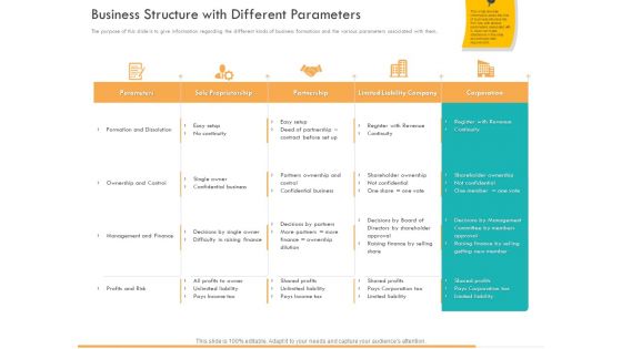 Business Planning And Strategy Playbook Business Structure With Different Parameters Formats PDF