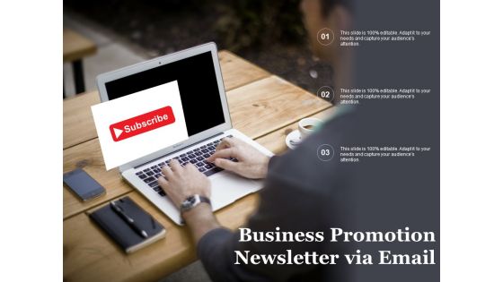Business Promotion Newsletter Via Email Ppt PowerPoint Presentation Styles File Formats