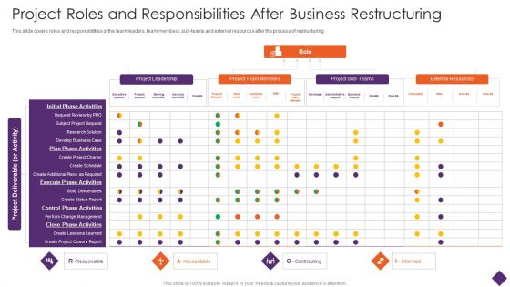 Business Restructuring Project Roles And Responsibilities After Business Restructuring Guidelines PDF