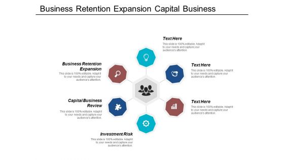 Business Retention Expansion Capital Business Review Investment Risk Ppt PowerPoint Presentation Portfolio Example