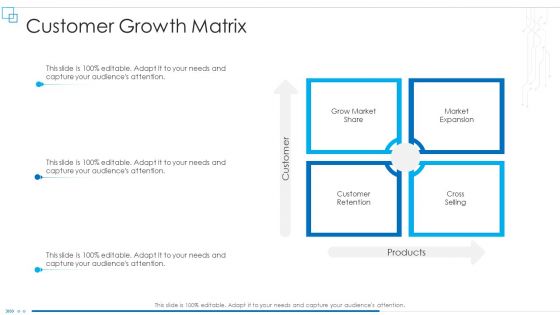 Business Scheme Management Synopsis Customer Growth Matrix Rules PDF