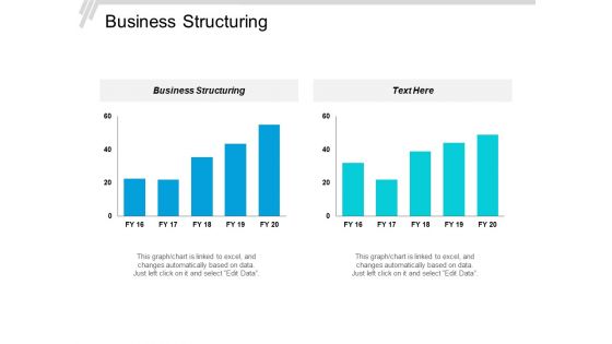 Business Structuring Ppt PowerPoint Presentation Model Objects Cpb