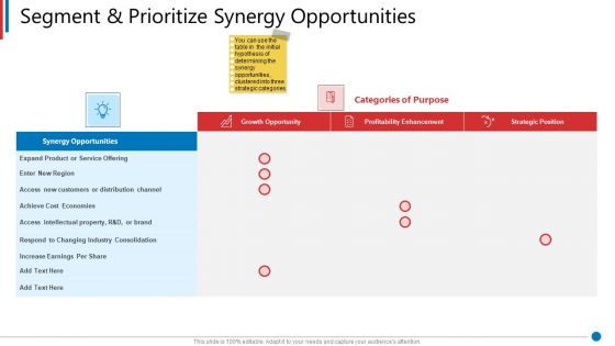 Business Synergies Segment And Prioritize Synergy Opportunities Ppt Show Portrait PDF