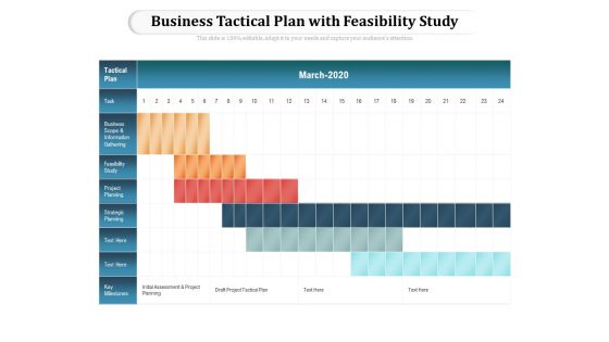 Business Tactical Plan With Feasibility Study Ppt PowerPoint Presentation File Picture PDF