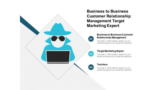 Business To Business Customer Relationship Management Target Marketing Expert Ppt PowerPoint Presentation Infographics Layout Ideas