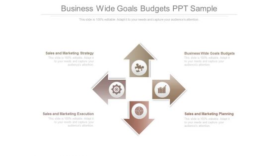 Business Wide Goals Budgets Ppt Sample