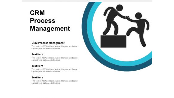 CRM Process Management Ppt PowerPoint Presentation Styles Example  Cpb