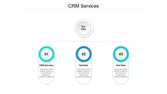 CRM Services Ppt PowerPoint Presentation Summary File Formats Cpb