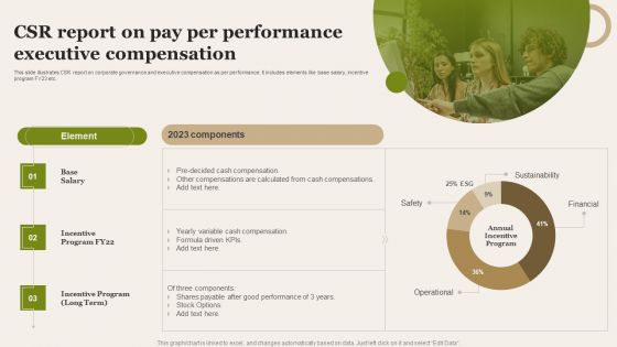 CSR Report On Pay Per Performance Executive Compensation Portrait PDF
