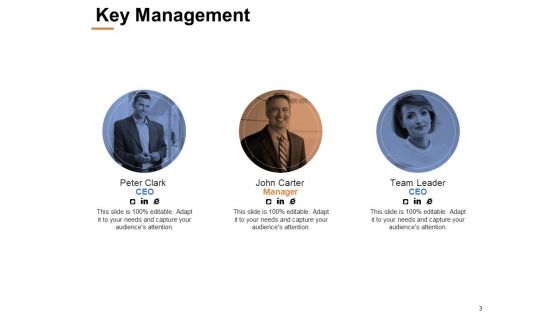 Capability Assessment Ppt PowerPoint Presentation Complete Deck With Slides