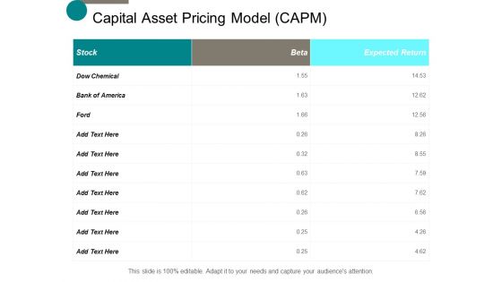 capital asset pricing model capm ppt powerpoint presentation inspiration vector