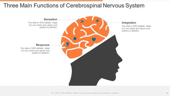 Cerebrospinal Nervous System Ppt PowerPoint Presentation Complete With Slides