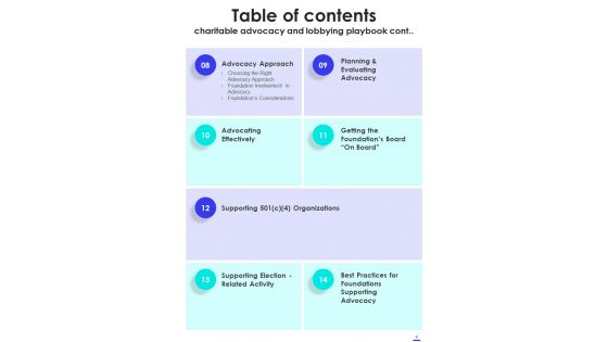 Charitable Advocacy And Lobbying Playbook Template
