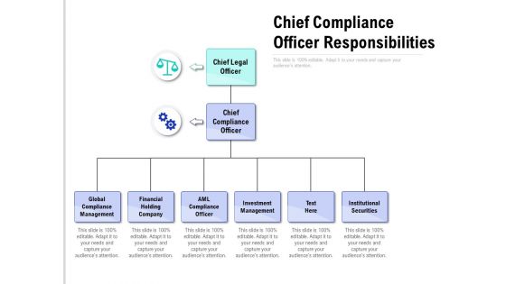 Chief Compliance Officer Responsibilities Ppt Summary Format Ideas PDF