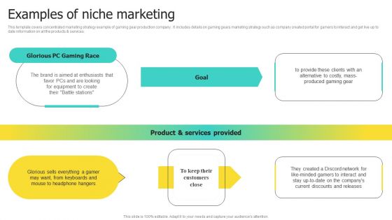 Choosing Target Audience And Target Audience Tactics Examples Of Niche Marketing Elements PDF