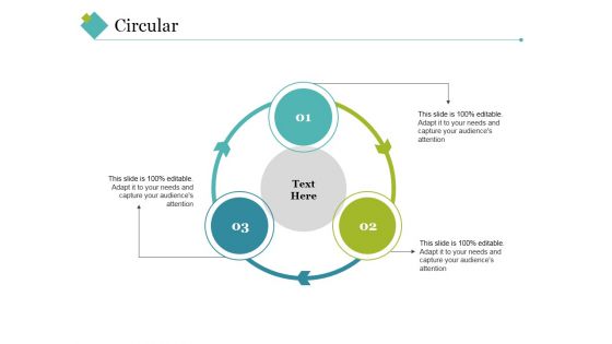 Circular Ppt PowerPoint Presentation Infographics Background Designs