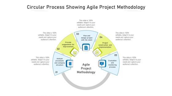Circular Process Showing Agile Project Methodology Ppt PowerPoint Presentation Icon Portfolio PDF