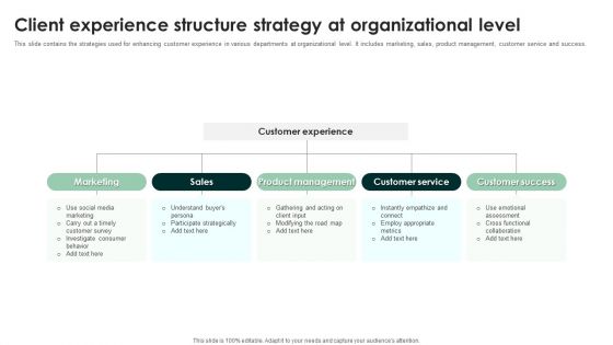 Client Experience Structure Strategy At Organizational Level Infographics PDF