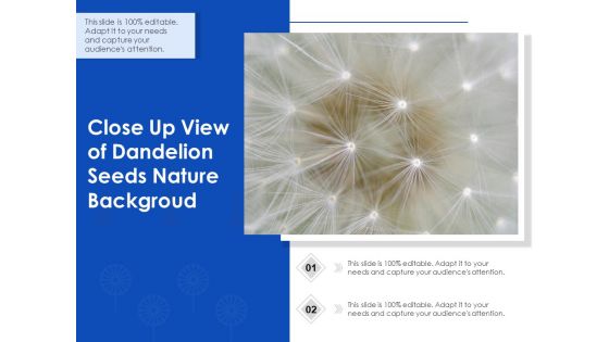 Close Up View Of Dandelion Seeds Nature Background Ppt PowerPoint Presentation Model Slides PDF