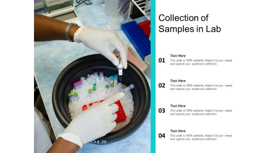 Collection Of Samples In Lab Ppt PowerPoint Presentation Slides Guide PDF