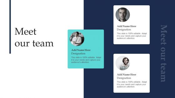 Commodity Line Extension Techniques Meet Our Team Ppt Summary Background Designs PDF