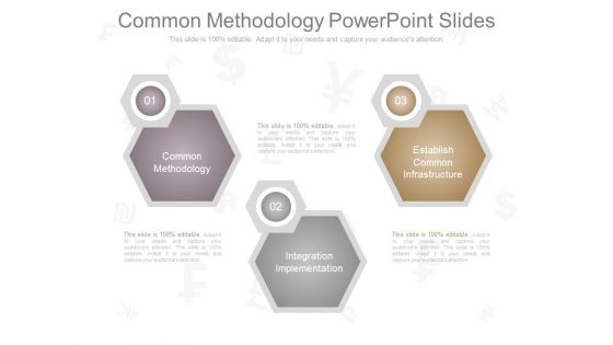 Common Methodology Powerpoint Slides Common Methodology Powerpoint Slides
