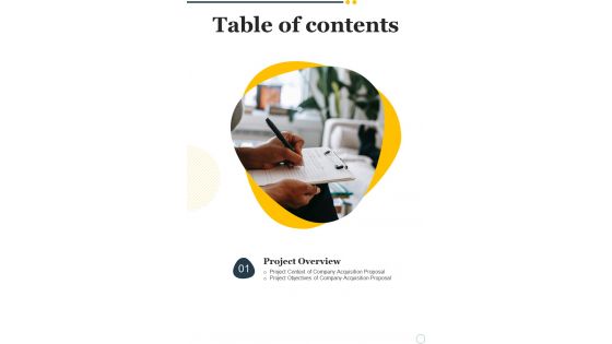 Company Acquisition Proposal Table Of Contents One Pager Sample Example Document