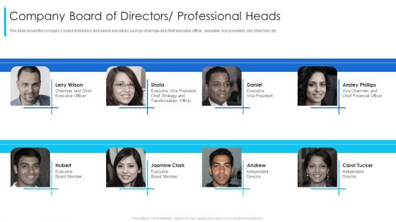Company Board Of Directors Professional Heads Ppt Layouts Ideas PDF Company Board Of Directors Professional Heads Ppt Layouts Ideas PDF