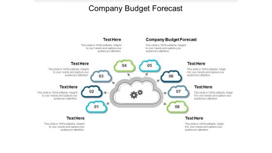 Company Budget Forecast Ppt PowerPoint Presentation Layouts Graphics Pictures Cpb