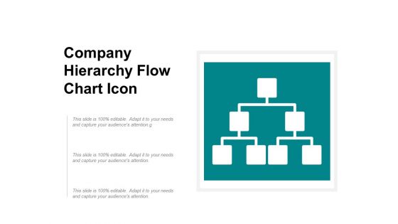 Company Hierarchy Flow Chart Icon Ppt PowerPoint Presentation Gallery Portfolio