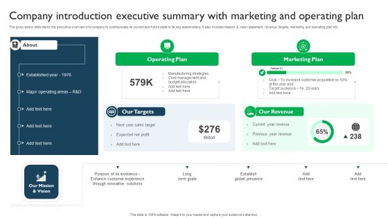 Company Introduction Executive Summary With Marketing And Operating Plan Rules PDF