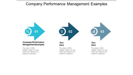 Company Performance Management Examples Ppt PowerPoint Presentation Summary Infographics Cpb