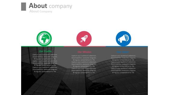 Company Profile Mission And Vision Powerpoint Slides