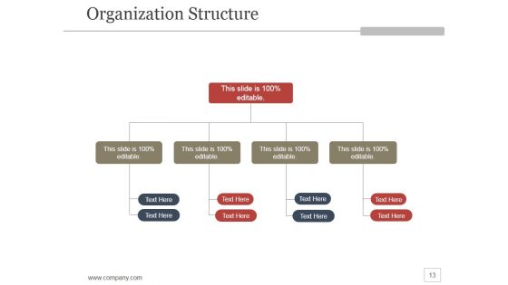 Company Profile Ppt PowerPoint Presentation Infographics