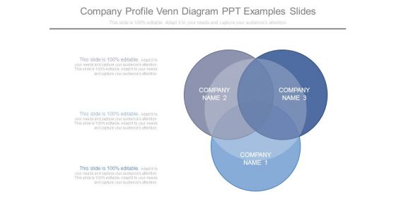 Company Profile Venn Diagram Ppt Examples Slides