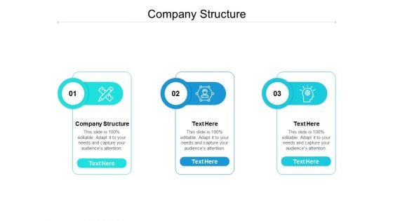 Company Structure Ppt PowerPoint Presentation Outline Inspiration Cpb