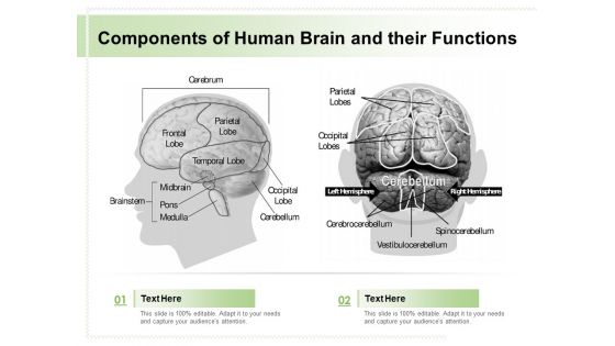 Components Of Human Brain And Their Functions Ppt PowerPoint Presentation Gallery Samples PDF