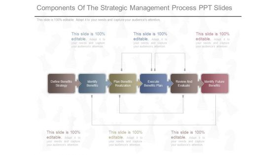 Components Of The Strategic Management Process Ppt Slides