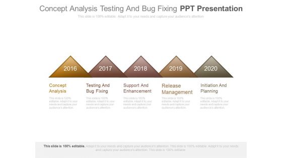 Concept Analysis Testing And Bug Fixing Ppt Presentation